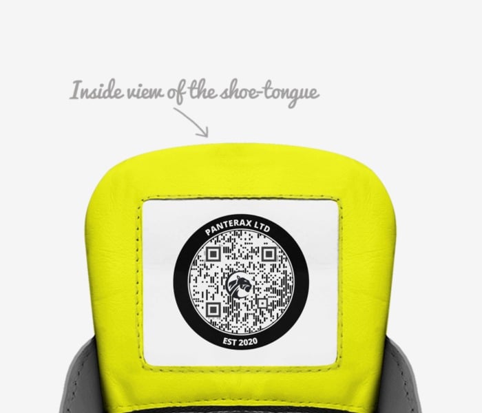 Panterax JMP V1 '24 Basketball/Running Hybrid Shoe